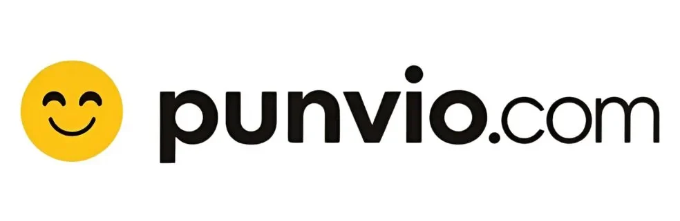 punvio.com