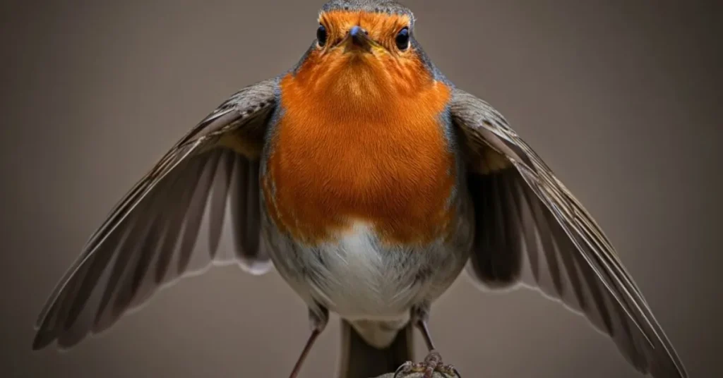  brilliant Robin Puns