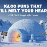 Igloo Puns